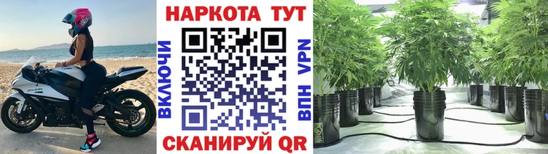 Где купить Ртищево Конопля Меф Alpha PVP Гашиш