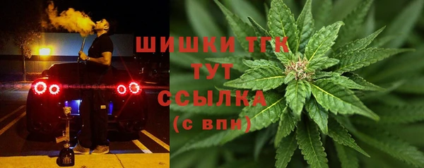 ГАЛЛЮЦИНОГЕННЫЕ ГРИБЫ Новодвинск