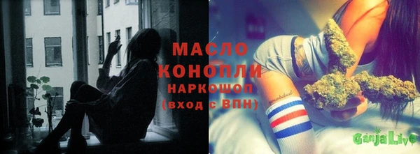 гашик Новозыбков