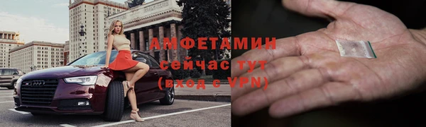 гашик Новозыбков
