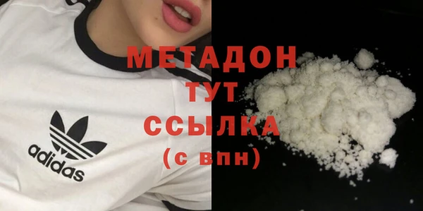 гашик Новозыбков