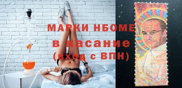 гашик Новозыбков