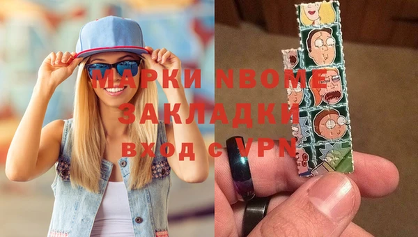 гашик Новозыбков
