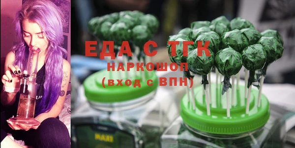 гашик Новозыбков