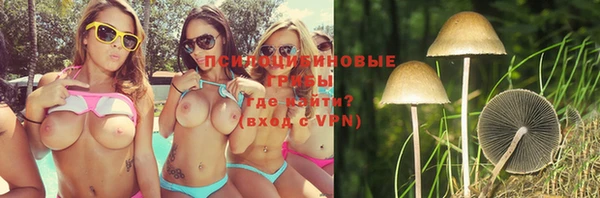гашик Новозыбков