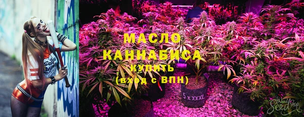 гашик Новозыбков